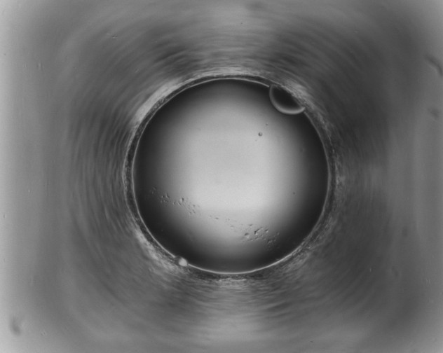 X0000102221181200808011155