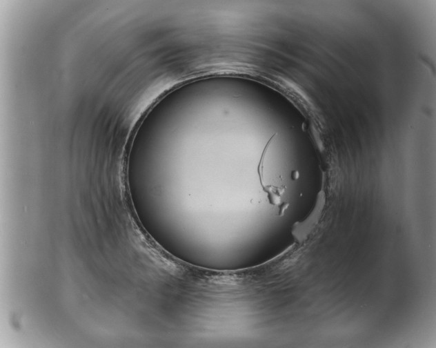 X0000102221182200808011155