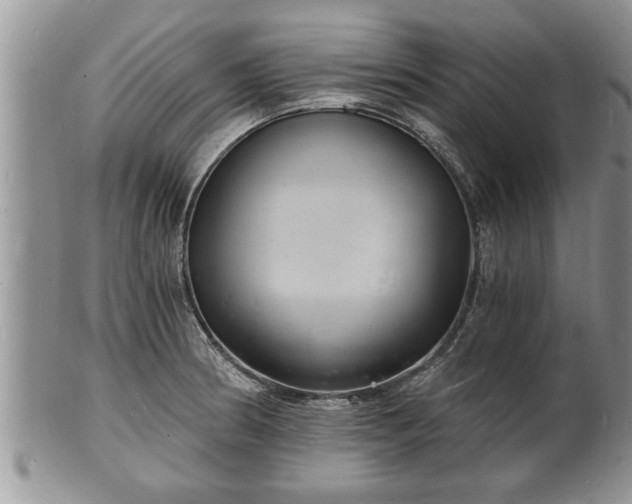 X0000102221186200808011155