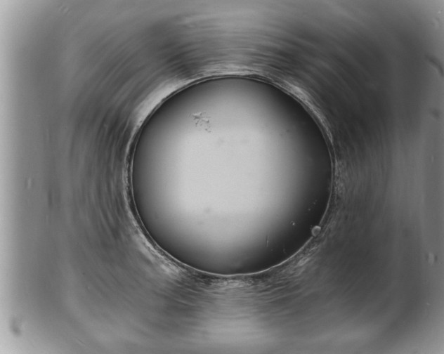 X0000102221187200808011155