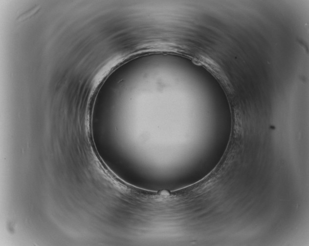 X0000102221188200808011155