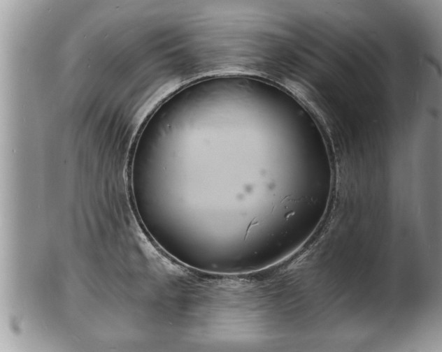 X0000102221189200808011155