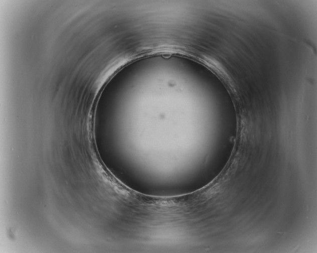 X0000102221190200808011155