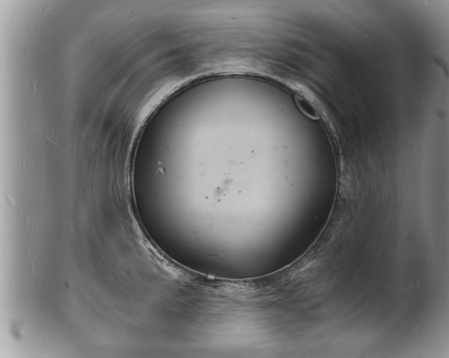 X0000102221191200808011155