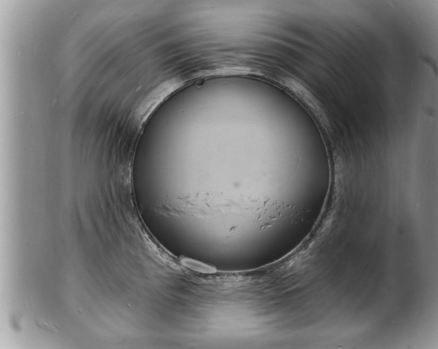 X0000102221193200808011155