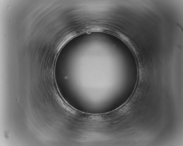 X0000102221194200808011155