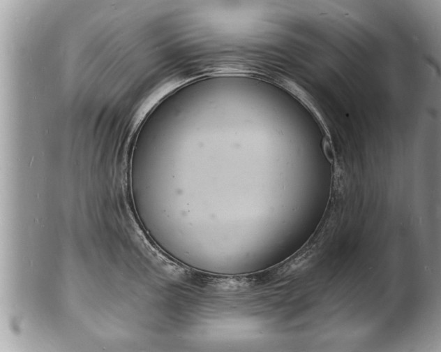 X0000102221195200808011155