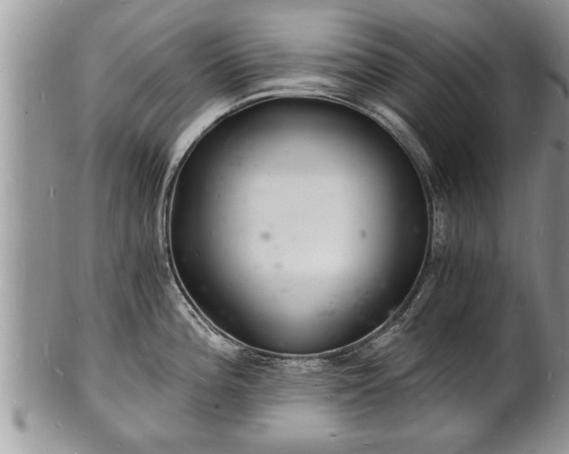 X0000102221196200808011155