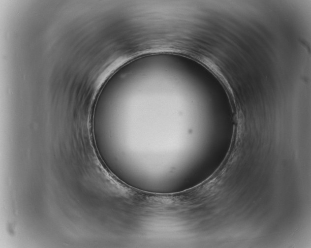 X0000102221197200808011155