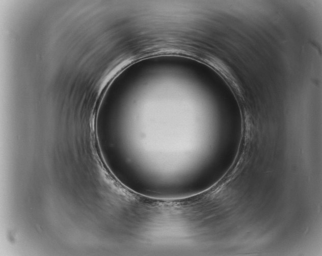 X0000102221198200808011155