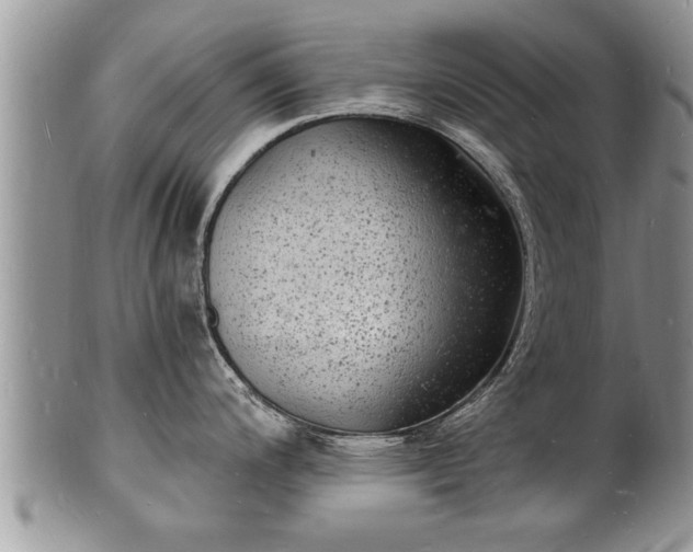 X0000102221200200808011155