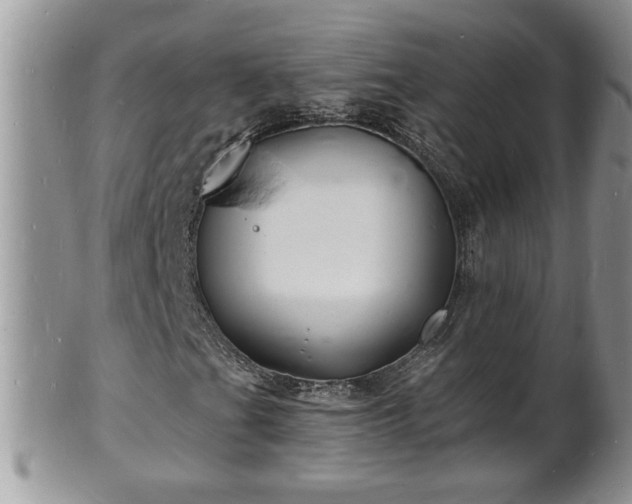 X0000102221201200808011154