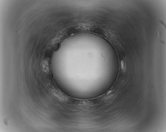 X0000102221203200808011154