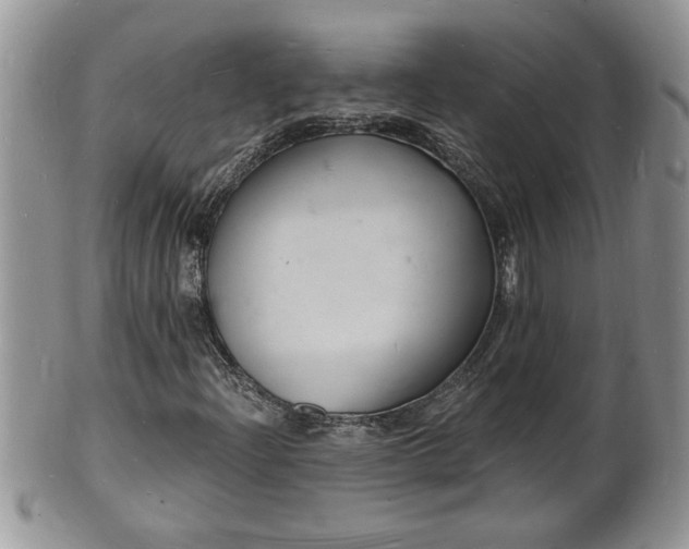 X0000102221204200808011154