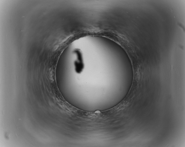 X0000102221205200808011154