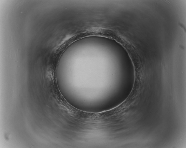 X0000102221206200808011154