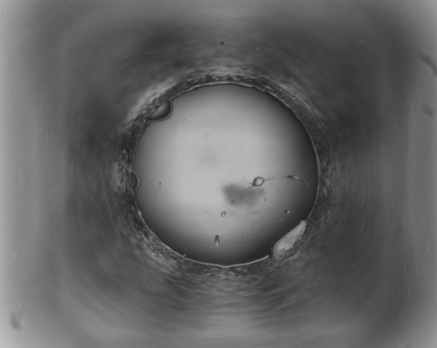 X0000102221207200808011154