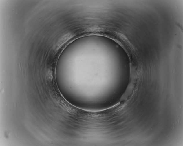 X0000102221209200808011154