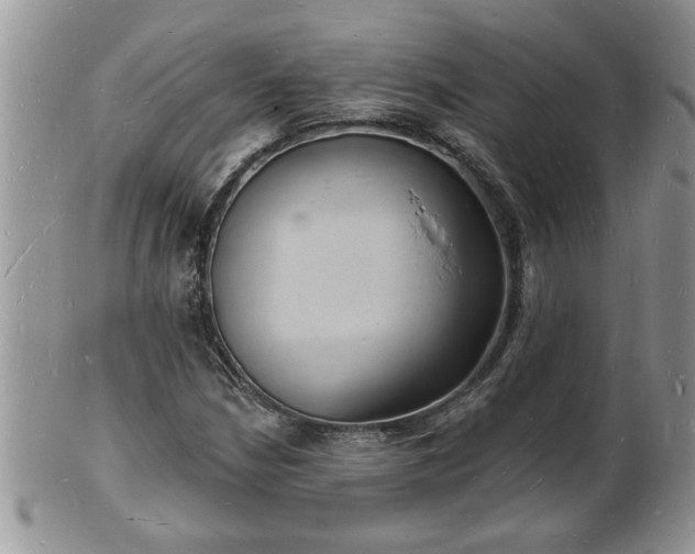 X0000102221210200808011154