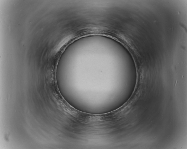 X0000102221211200808011154