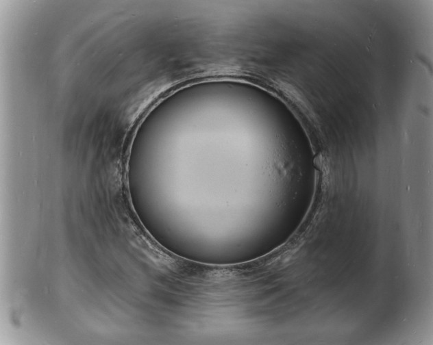 X0000102221212200808011154