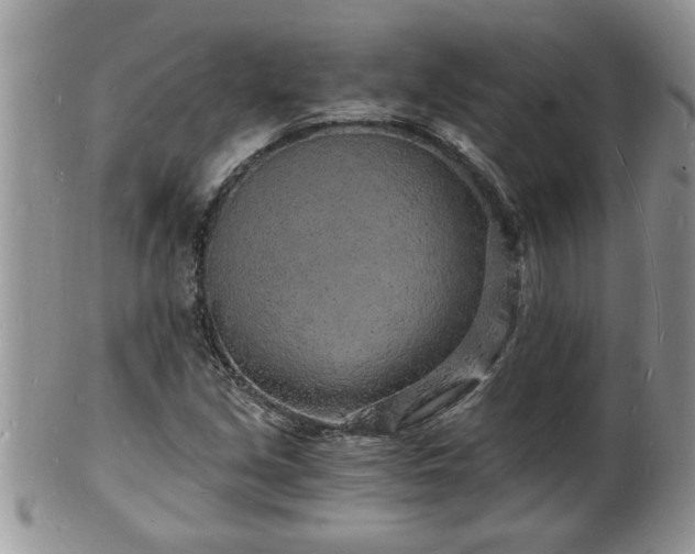 X0000102221213200808011154