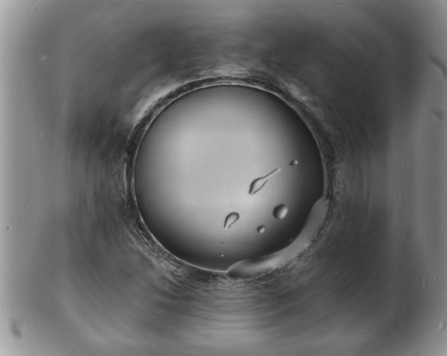 X0000102221214200808011154