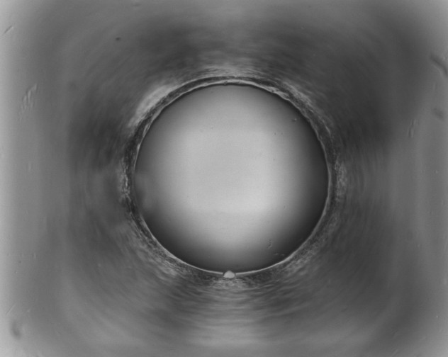 X0000102221215200808011154