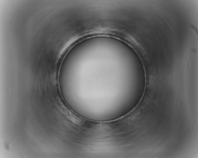 X0000102221216200808011154