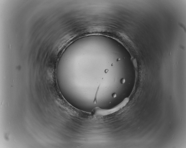 X0000102221217200808011154