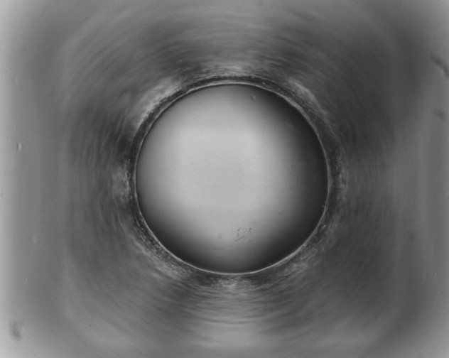 X0000102221218200808011154