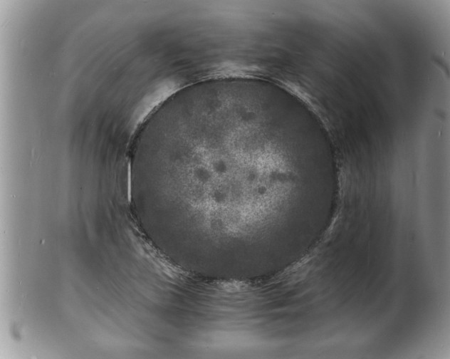 X0000102221219200808011154