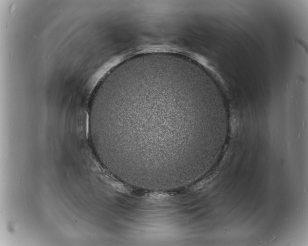 X0000102221221200808011154