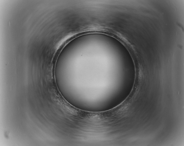 X0000102221222200808011154