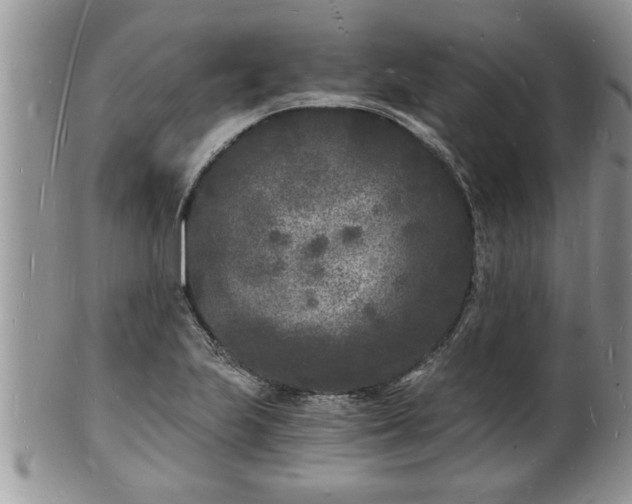 X0000102221223200808011154