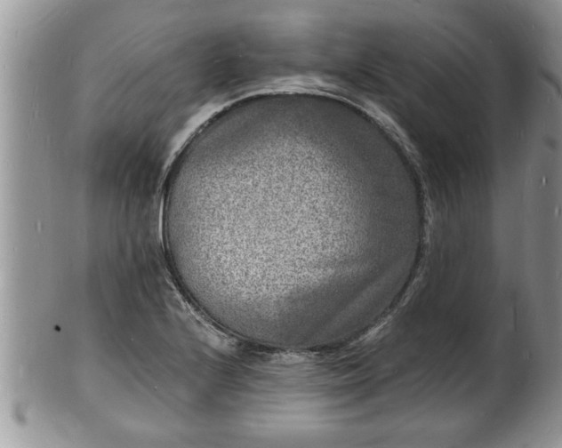 X0000102221224200808011154