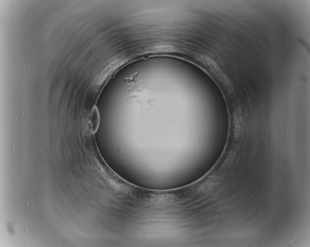 X0000102221225200808011154