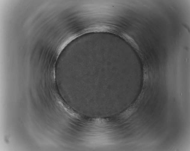 X0000102221226200808011154