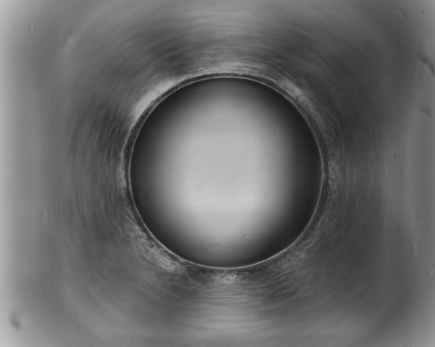 X0000102221230200808011154