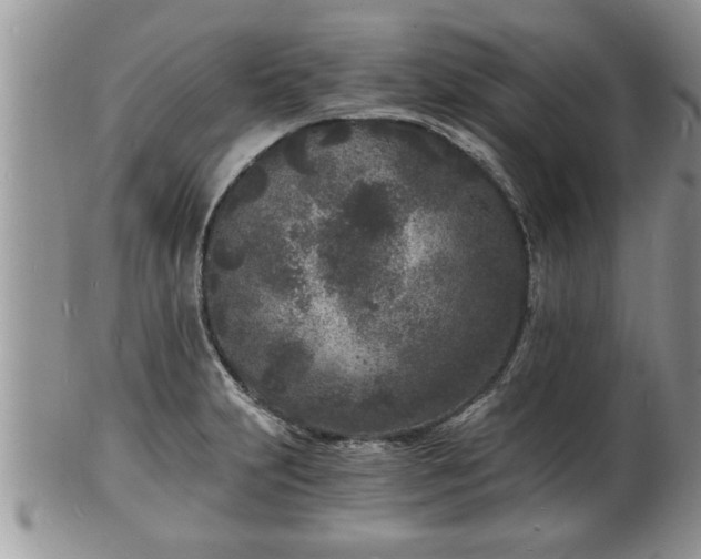 X0000102221231200808011154