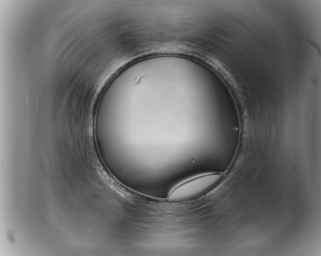 X0000102221232200808011154