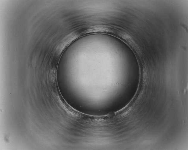 X0000102221233200808011154