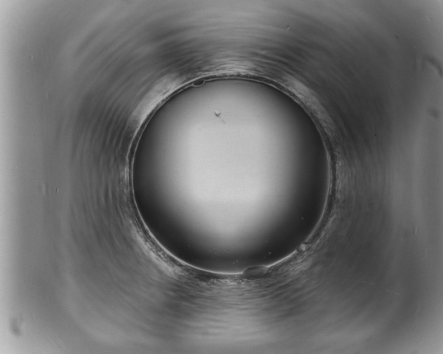 X0000102221234200808011154