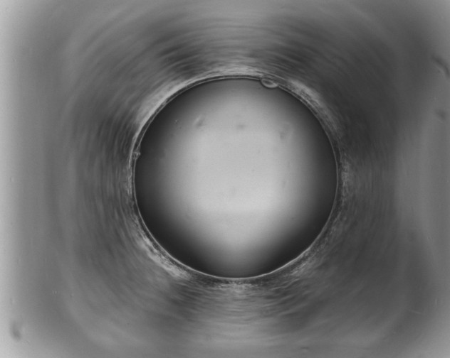 X0000102221236200808011154