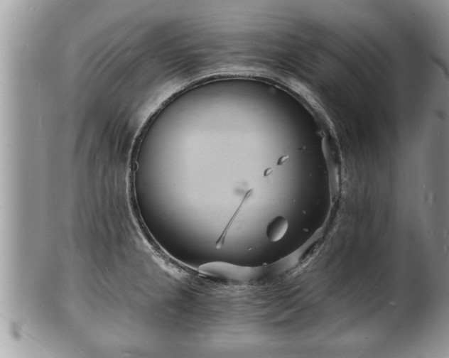 X0000102221237200808011154