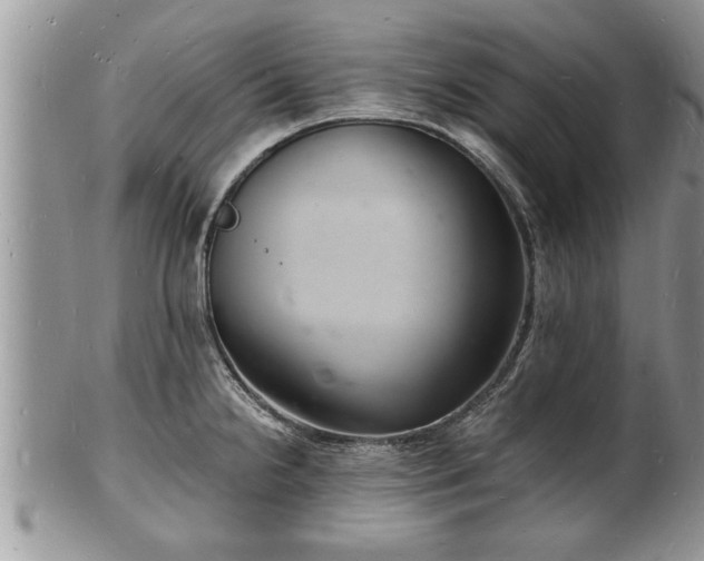 X0000102221238200808011154