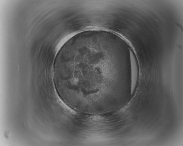 X0000102221239200808011155