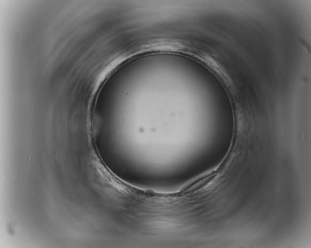 X0000102221240200808011155