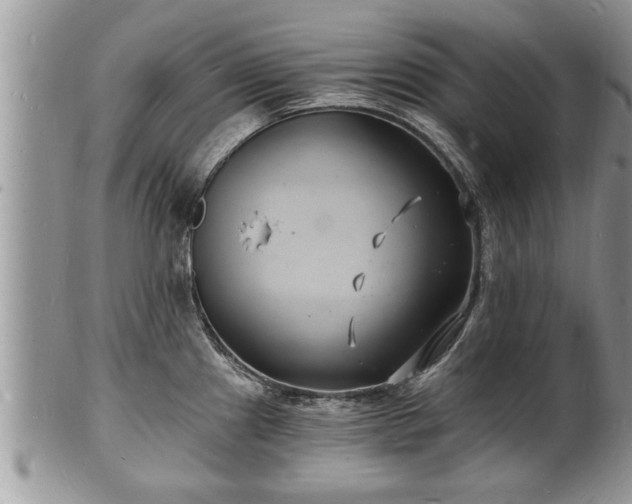 X0000102221241200808011155