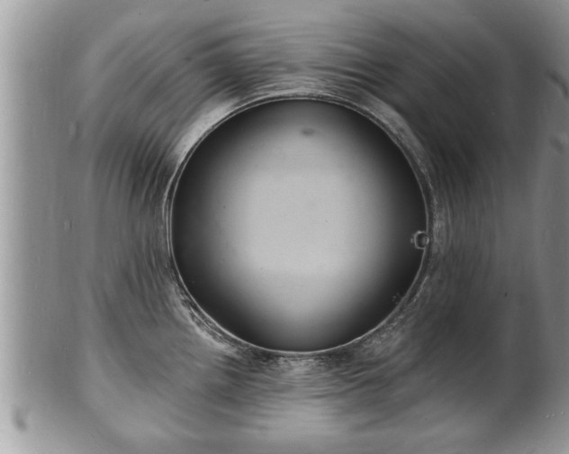 X0000102221242200808011155